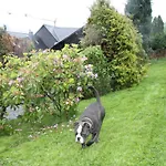 Casa vacanze Fuer 12 Personen Sauna Garten Garage Hund