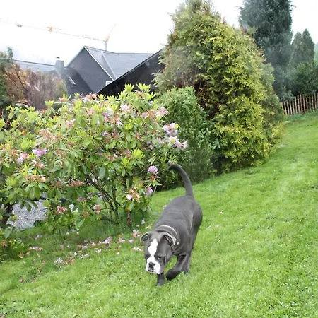 Holiday home Fuer 12 Personen Sauna Garten Garage Hund