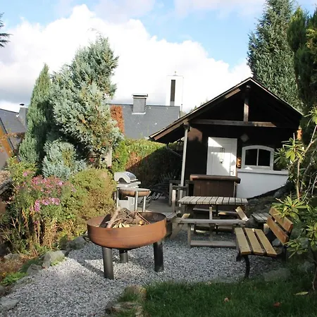 Fuer 12 Personen Sauna Garten Garage Hund Semesterbostad Winterberg