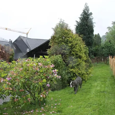 Fuer 12 Personen Sauna Garten Garage Hund * Winterberg