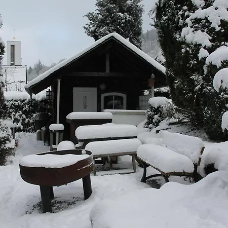 Fuer 12 Personen Sauna Garten Garage Hund * 温特贝格