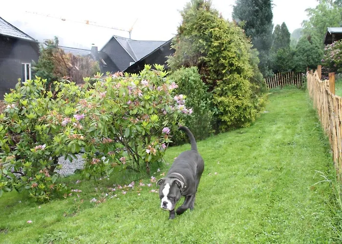 Prázdninový dům Fuer 12 Personen Sauna Garten Garage Hund