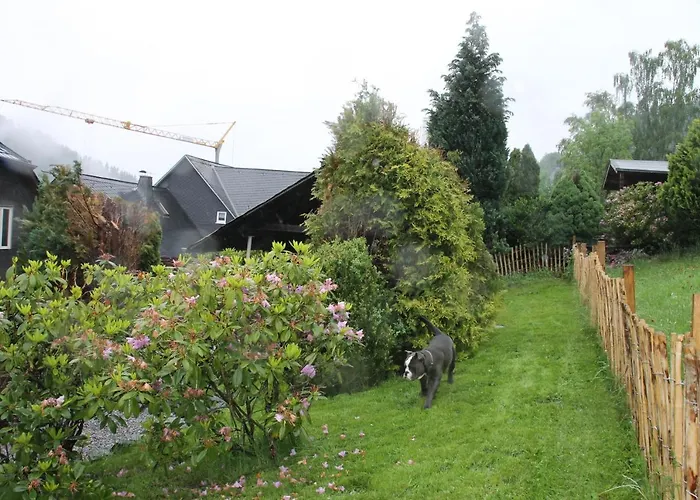 Fuer 12 Personen Sauna Garten Garage Hund * Winterberg