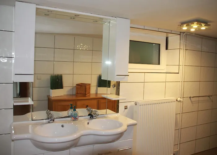 Fuer 12 Personen Sauna Garten Garage Hund Casa vacanze Winterberg