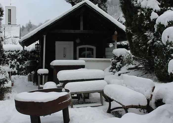 Fuer 12 Personen Sauna Garten Garage Hund * Winterberg